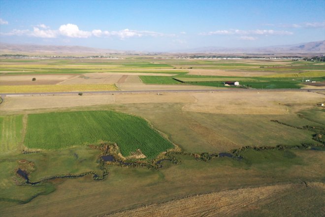 AĞRI Yazıcı Barajı