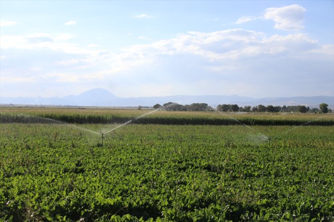 - çeşitlilik sulama Yazıcı imkanlarıyla modern artıyor sağladığı Barajı