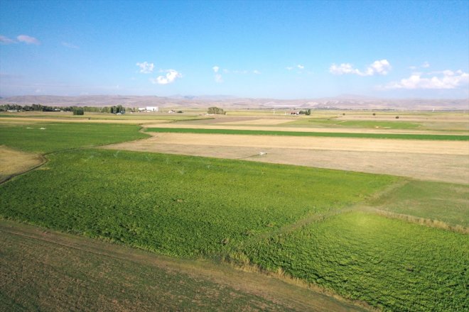 çeşitlilik imkanlarıyla Yazıcı sulama sağladığı Barajı