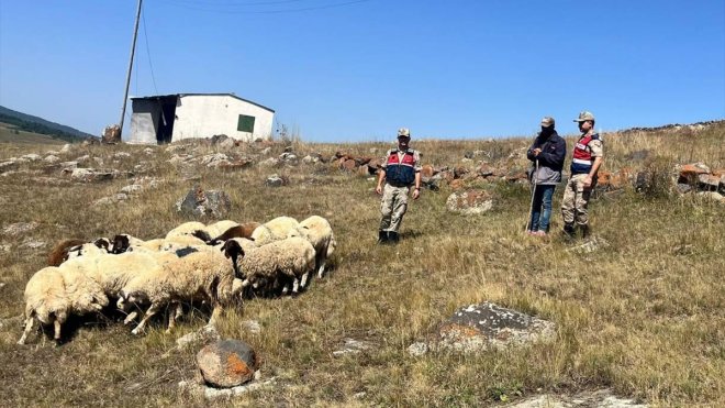 Ardahan'da kaybolan 92 hayvan bulunarak sahiplerine teslim edildi