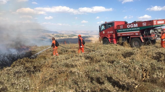 Bingöl'de merada çıkan yangın ormanlık alana sıçramadan söndürüldü