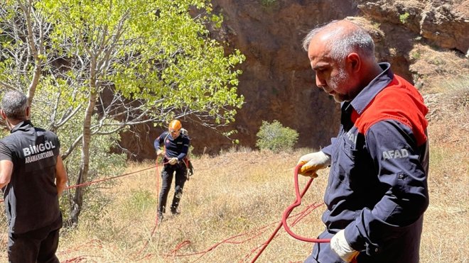 Bingöl'de kayalıklarda mahsur kalan 3 keçiyi AFAD ve jandarma ekipleri kurtardı