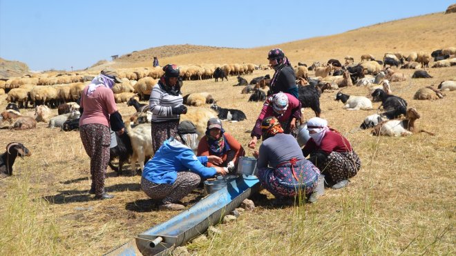 Yüksekova'da berivanlar yaptıkları ürünleri satarak aile bütçelerine katkıda bulunuyor