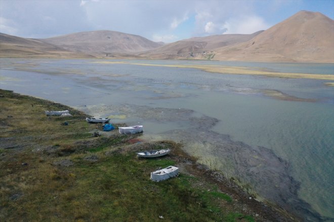 Suyu çekilen ve yosun tutan Balık Gölü'nde 'canlı yaşamı' tehlikede