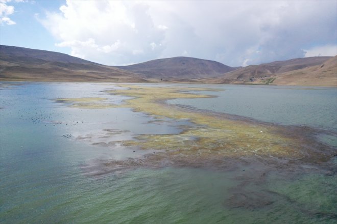 çekilen ve yosun tutan yaşamı canlı tehlikede Suyu Gölü