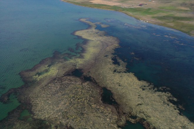 çekilen tutan Suyu tehlikede yaşamı yosun canlı Balık ve Gölü