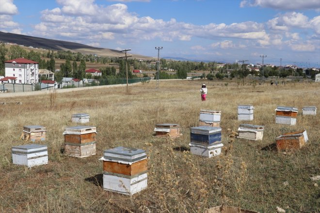 kalitesi, analizleriyle ve Ağrı