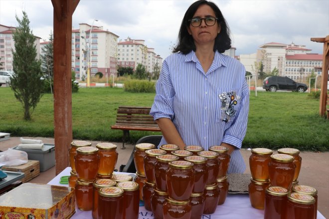 üniversitenin ve kalitesi, analizleriyle balının Ağrı