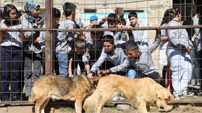 Bitlis'te 4 Ekim Hayvanları Koruma Günü etkinliği