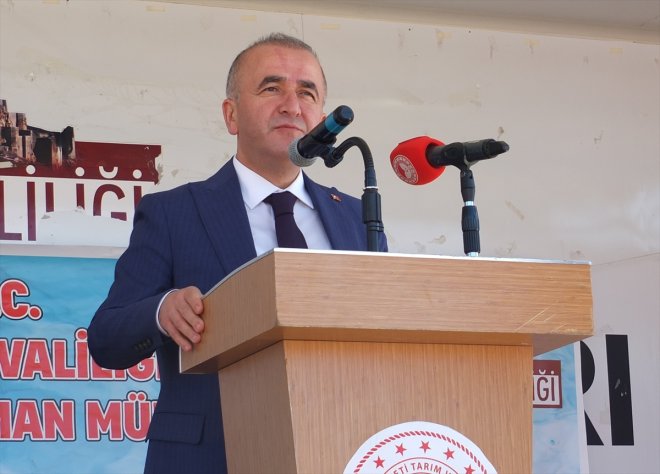 Elazığ