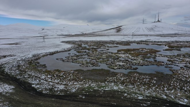 Kars'ta soğuk hava ve kırağı etkili oldu