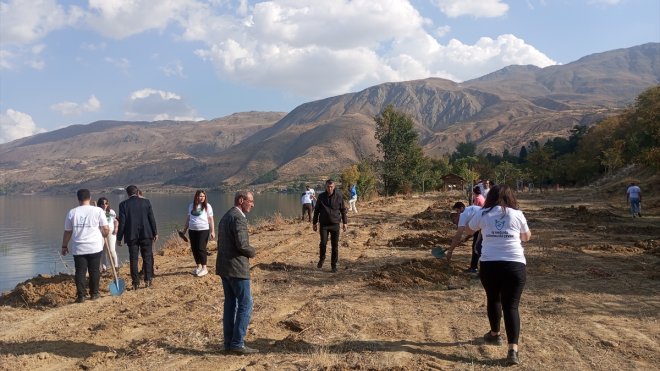 Sivrice'de Hazar Gölü çevresinde fidan dikimi yapıldı