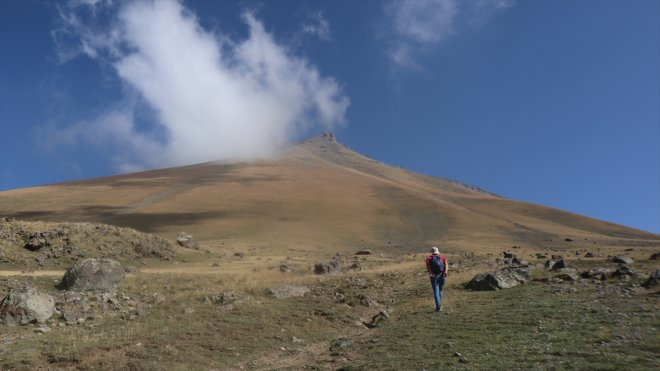 Dağı