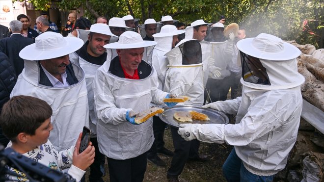 Van'da 'bal şenliği' etkinliğine katılanlar önce halay çekti sonra hasat yaptı