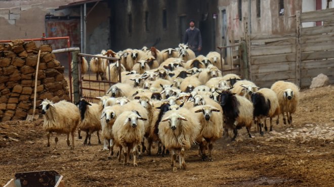 Van depreminden etkilenen besicilerin yaraları devlet eliyle sarıldı