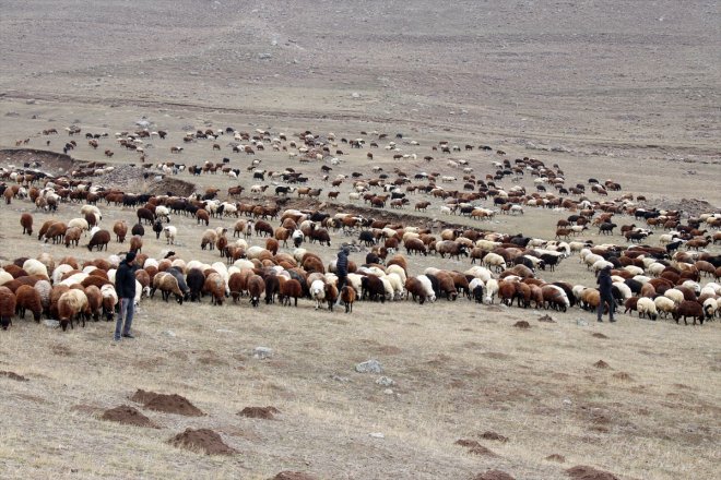 dağlarında çobanlık 3 üç Ağrı