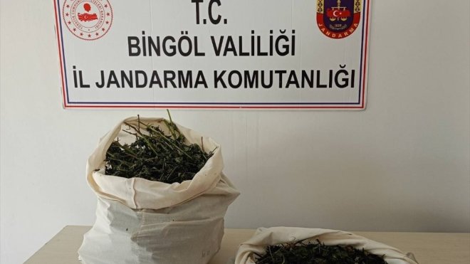 Bingöl'de 7 kilo 150 gram esrar ele geçirildi