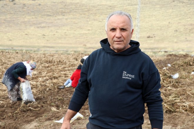 Köyüne patatesle dönen mor memur yetiştirdiği çeşitlilik Ağrı getirdi emekli tarımına 11