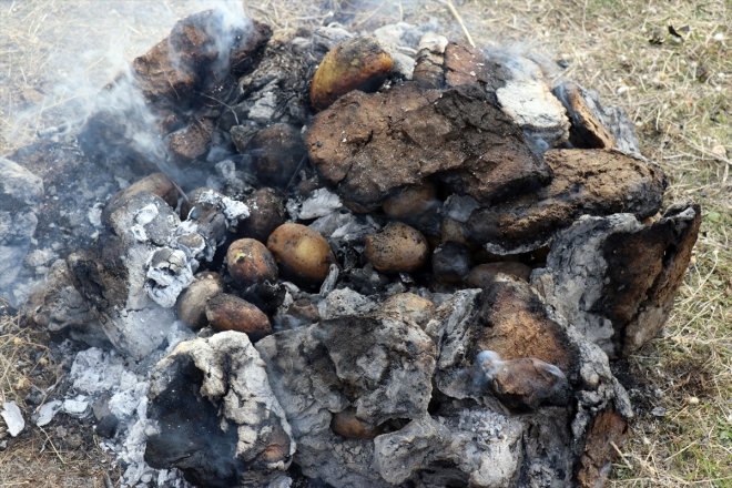 Köyüne tarımına mor emekli memur dönen patatesle Ağrı yetiştirdiği getirdi çeşitlilik 19