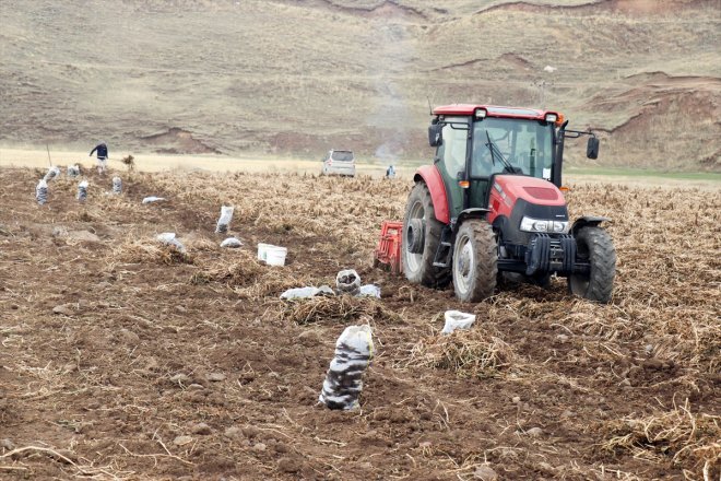 patatesle emekli memur mor getirdi çeşitlilik dönen tarımına Ağrı Köyüne yetiştirdiği 4