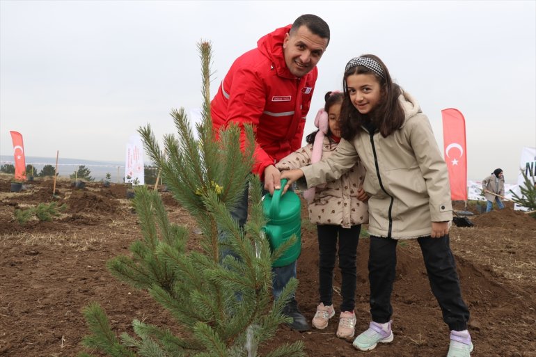 Milli Ağaçlandırma Günü