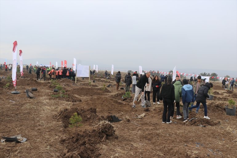 Milli Ağaçlandırma Günü