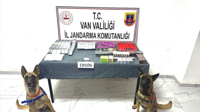 Van'da kaçakçılık operasyonlarında 382 şüpheli hakkında işlem yapıldı