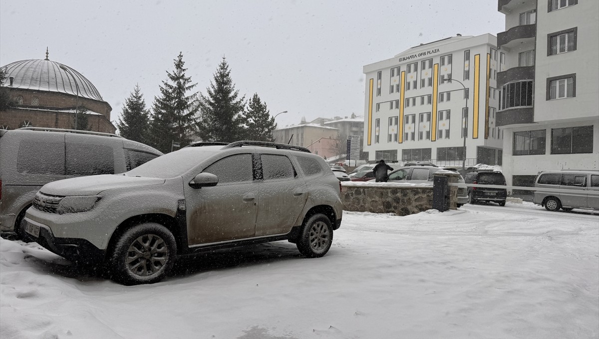 Erzurum ve Ardahan karla beyaza büründü