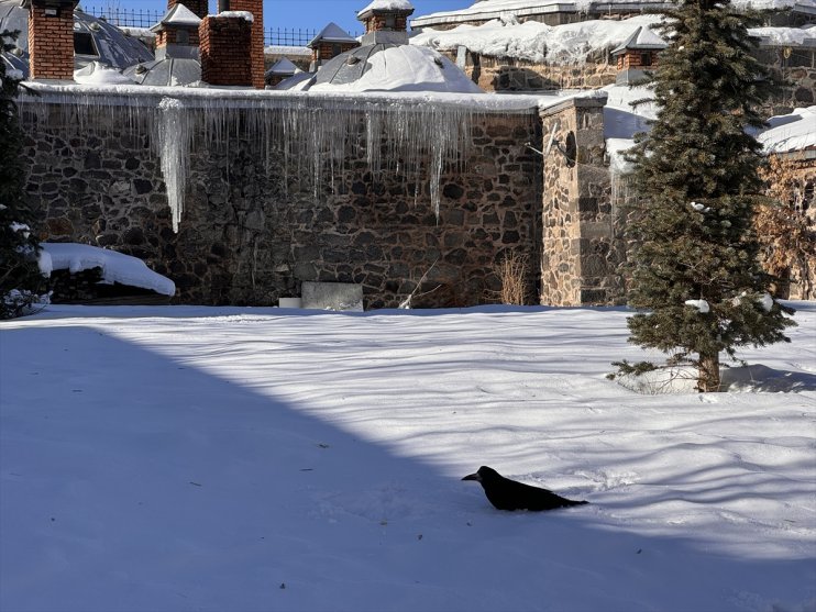 etkili Ardahan soğuk Ağrı, Kars