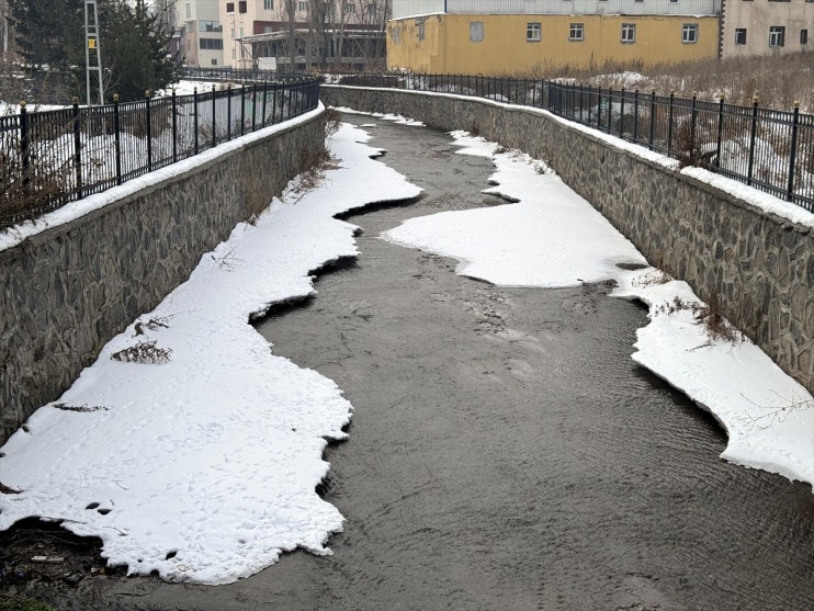 Erzurum, Ağrı, Tunceli ile Ardahan'da soğuk hava ve sis etkili oldu