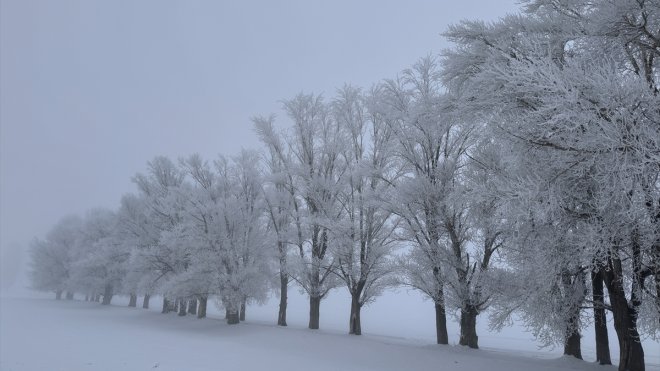 Erzurum sıfırın altında 17 dereceyle Türkiye