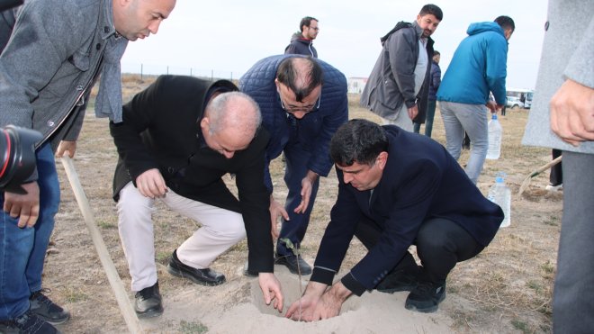 Iğdır'daki Aralık Erozyon Sahası'nda Antep fıstığı üretilecek