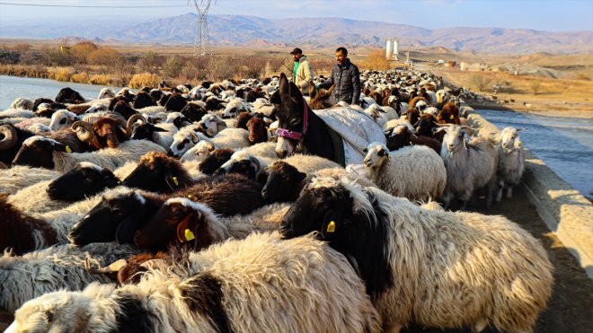 Kars, ve Iğdırlı yolculukla Ağrı