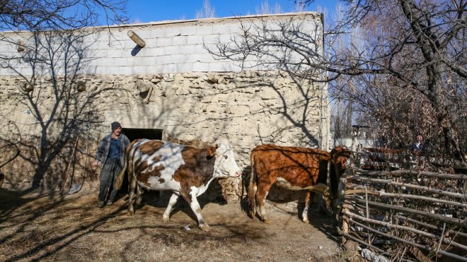 İŞKUR hibe desteğiyle Van'da 95 engellinin işini kurması sağlandı