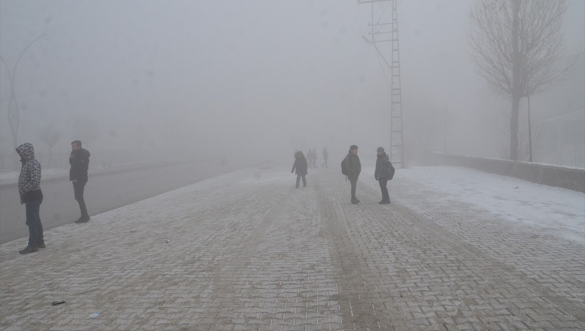 Yüksekova'da soğuk hava ve yoğun sis etkili oldu