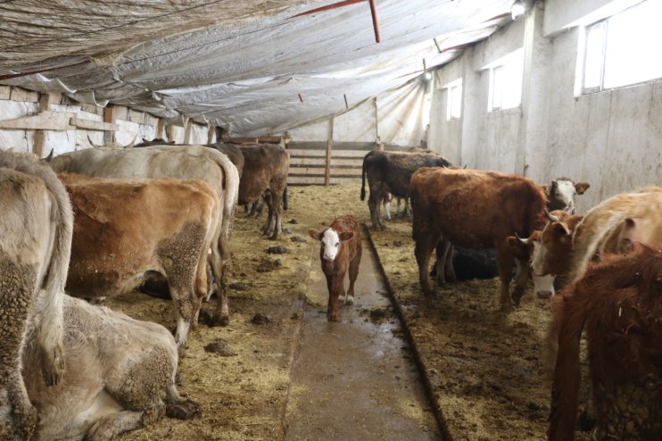 25 yıl sonra döndüğü memleketinde kendi işletmesini kurarak kadınlara örnek oldu4