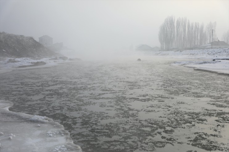 ve bitkiler ağaçlar akarsular Ağrı, Kars Ardahan