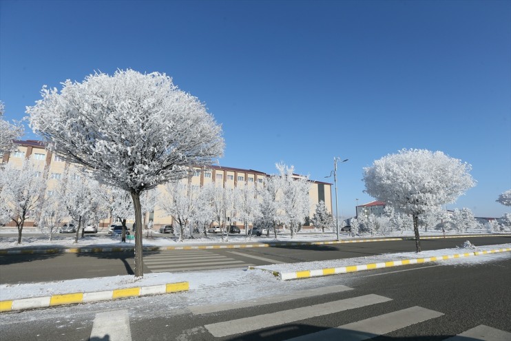 Ardahan, Kars ve Ağrı'da kar yerini soğuk havaya bıraktı