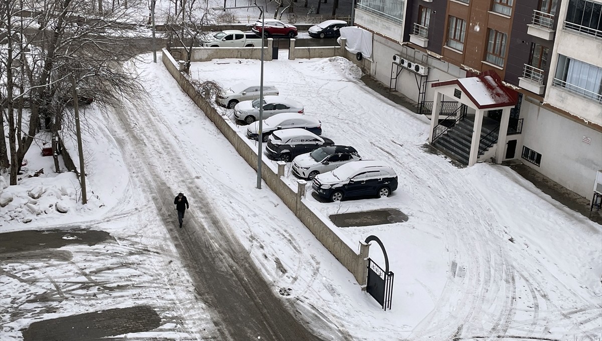 Bitlis ve Van'da gece yağan kar ulaşımı olumsuz etkiledi