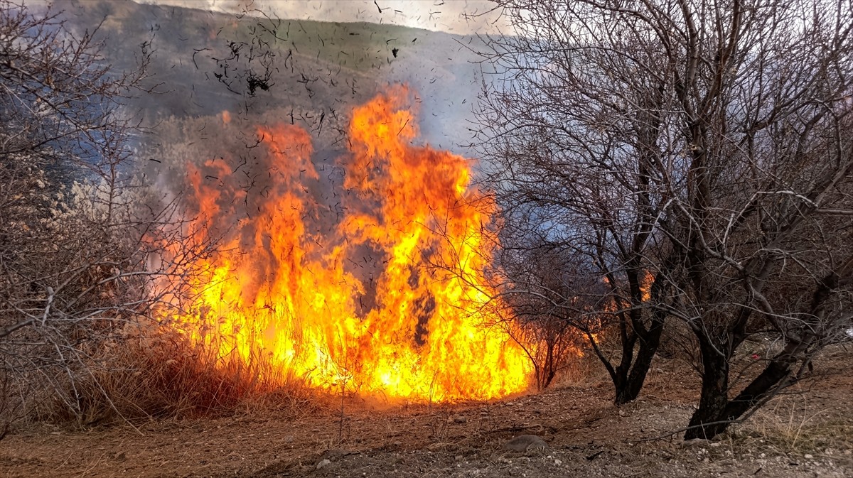 Çemişgezek'te otluk arazide çıkan yangın söndürüldü