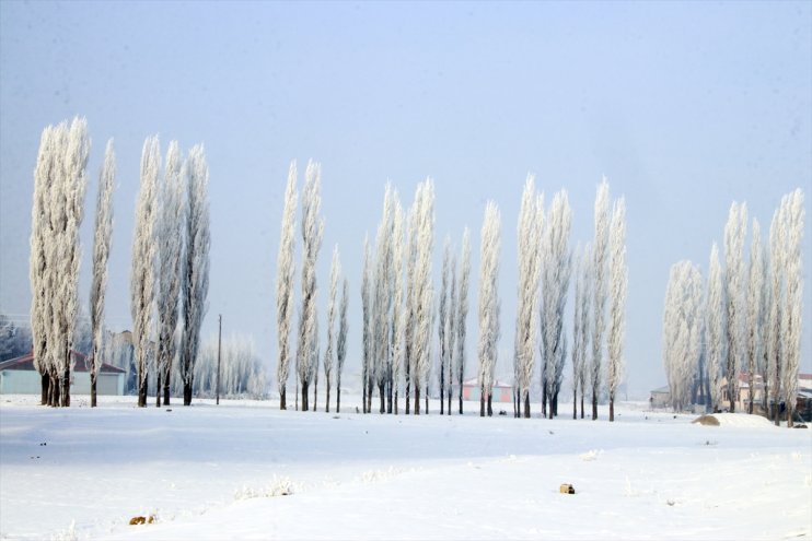 Doğu Anadolu