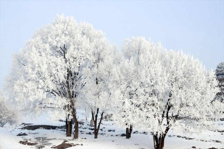 Doğu Anadolu