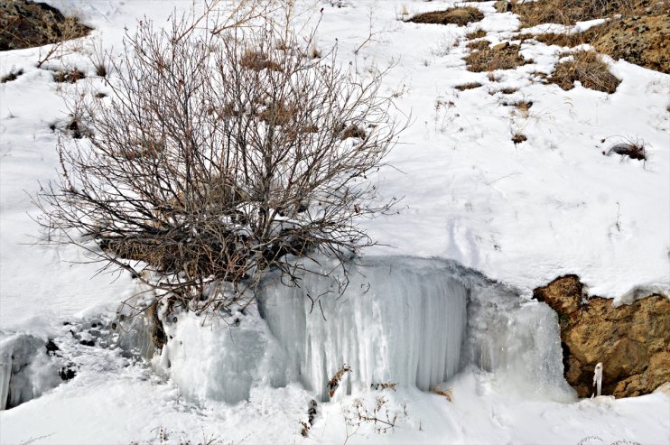 Erzurum, Ardahan, Iğdır ve Ağrı