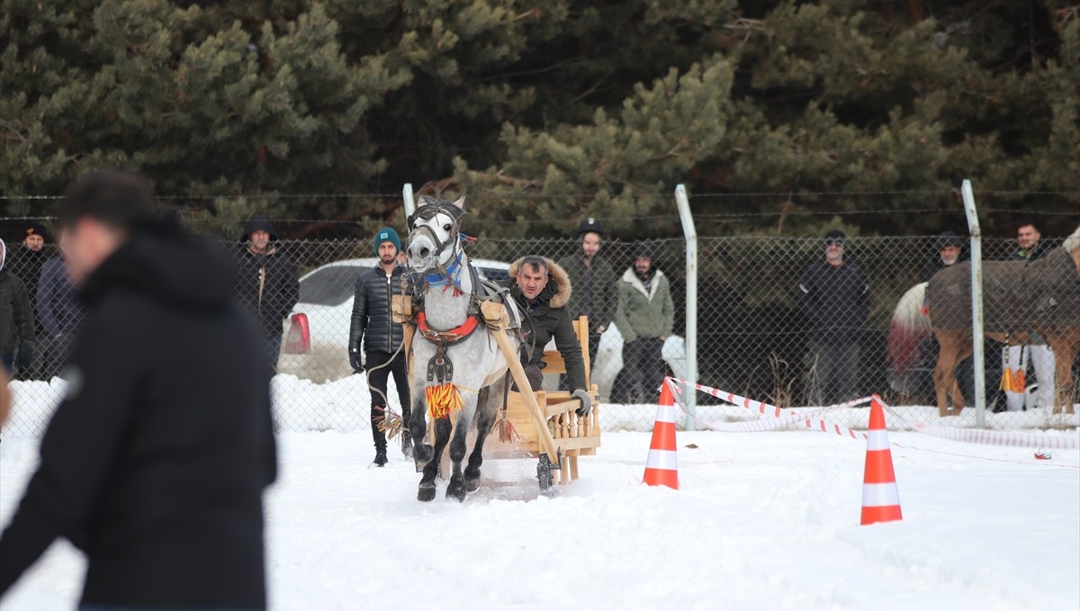 Erzurum'da, Geleneksel Atlı Kızak Şöleni düzenlendi