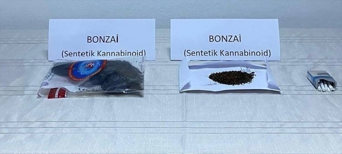 Erzurum'da uyuşturucu operasyonunda 2 şüpheli yakalandı