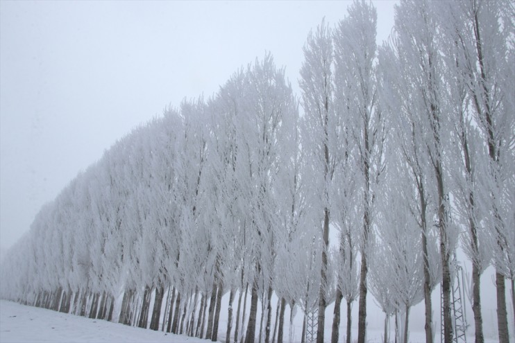 ERZURUM Soğuk sürdürüyor hava etkisini - 9