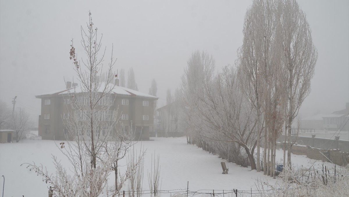 Hakkari'de soğuk hava ve sis etkili oldu