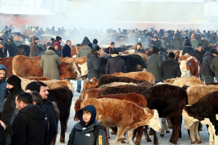 dondurucu Hayvan Borsası Kışın Ağrı hareketli rağmen soğuklarına 16