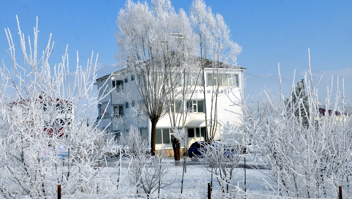 Muş'ta soğuk hava yaşamı olumsuz etkiliyor