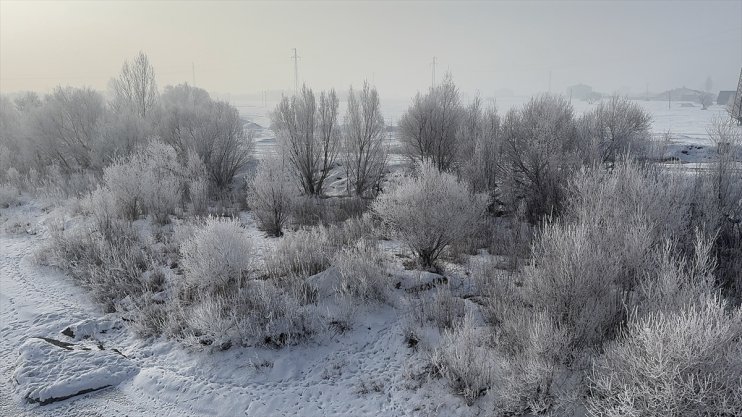 Ağrı, Ardahan ve Tunceli